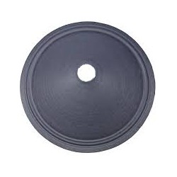 speaker paper 12"